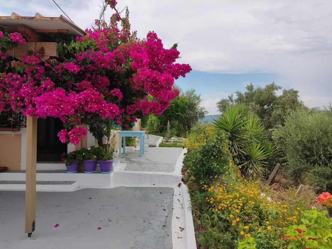 Villa Thea Kato Samikon Екстериор снимка