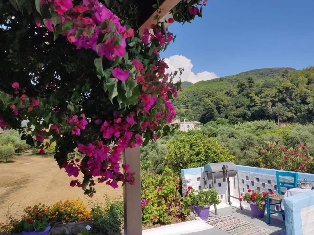 Villa Thea Kato Samikon Екстериор снимка