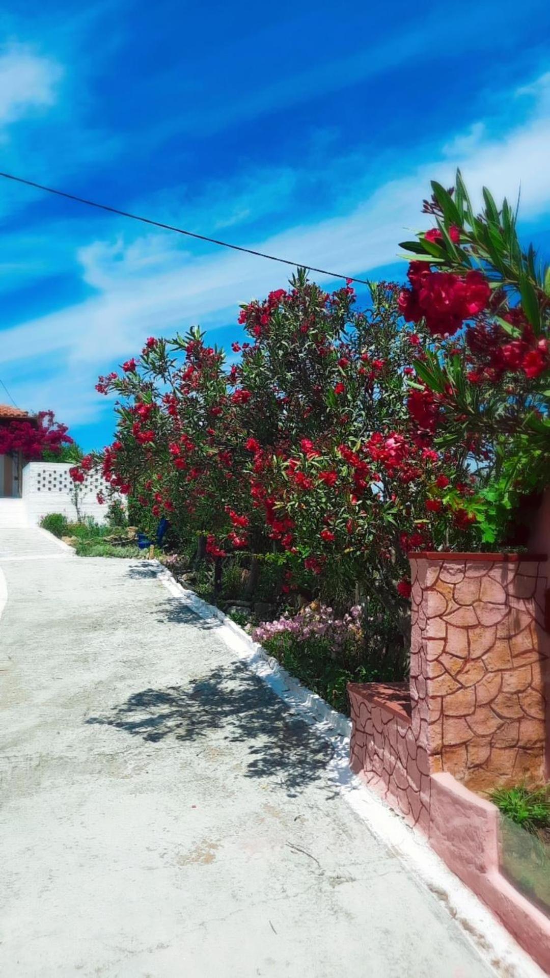 Villa Thea Kato Samikon Екстериор снимка